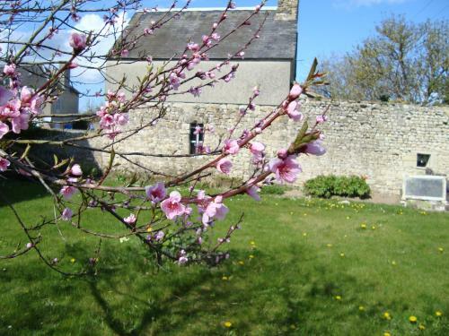 Bed & Breakfast La Maison Claire