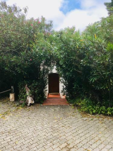 Casa Dos Pintos, Golf E Natureza