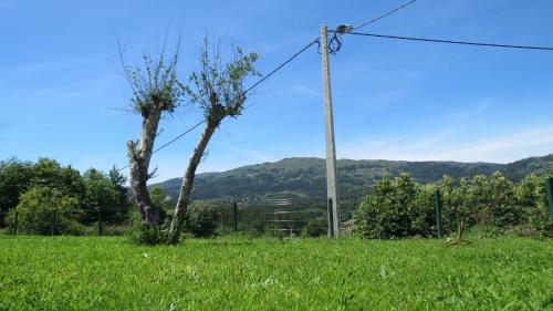 Agroturismo Casa Das Oliveiras