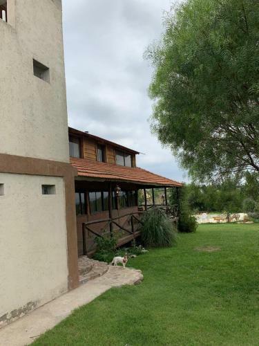 Caba�a De Campo