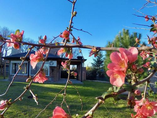 Lodge Caba�as Latitud 38.15