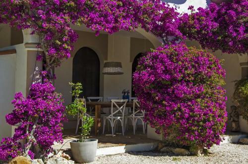 Casa Sereno