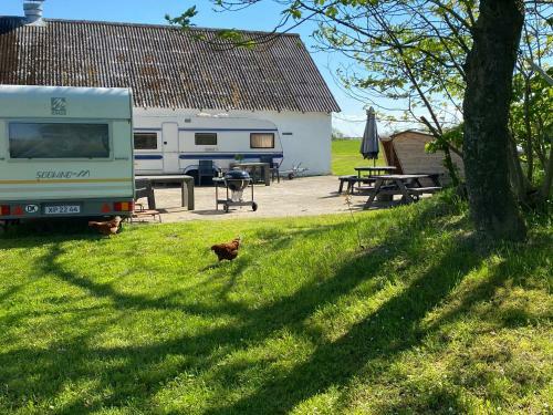 Bregnedalsgaard Bondeg�rdsferie