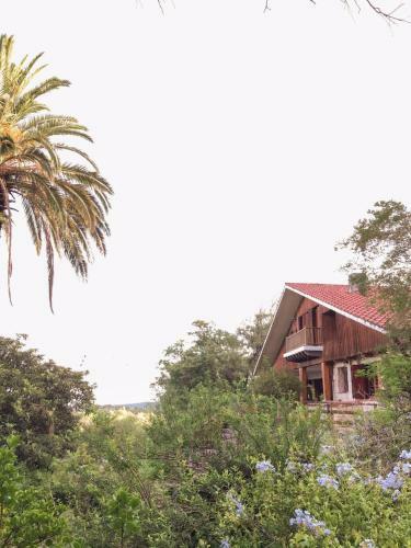 Bed & Breakfast Casa Brava
