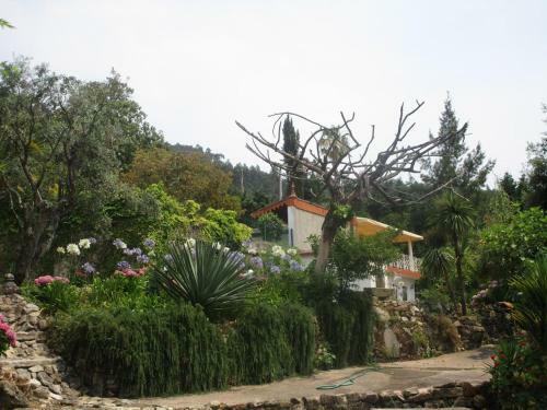 Quinta Outeiro Da Luz