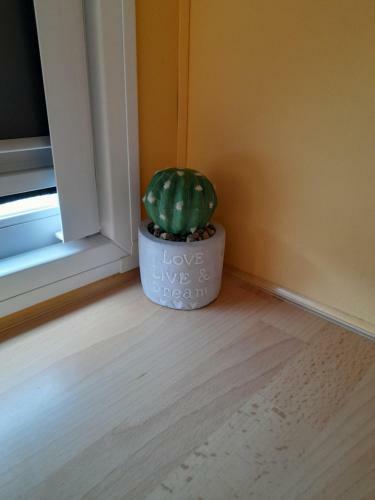 Apartamento A Casinha Da Raquel Land`s Hause