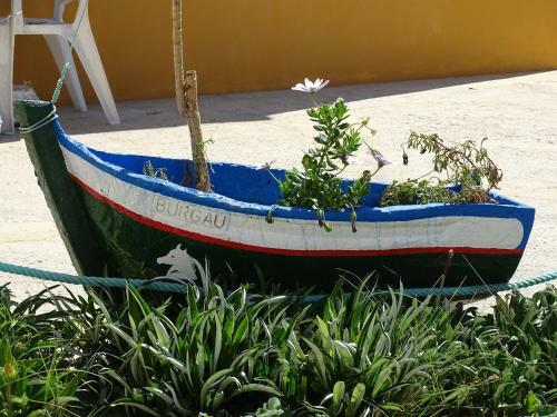 Apartamento Casa Afonso Henriques