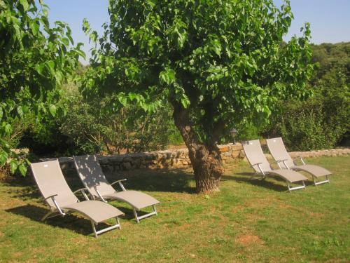 Bed & Breakfast Mas De La Garrigue