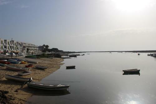 Apartamento Alta Da Ria House