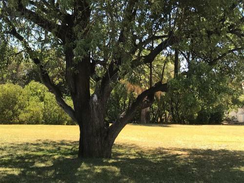 Villa C/ Piscina Pr�xima Da Praia