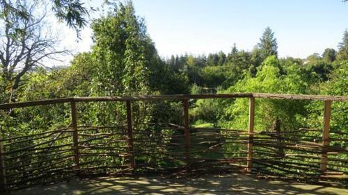Treehouse B&B