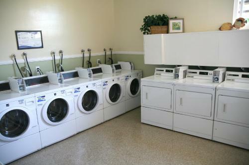 G222 - Paradise Found