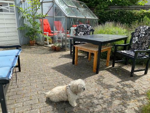 Charmerende �ldre Sommerhus T�t P� Strand Og City