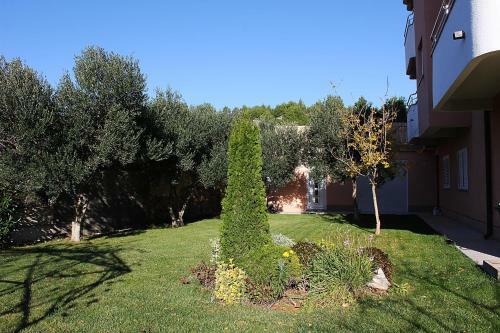 Apartments Sandra