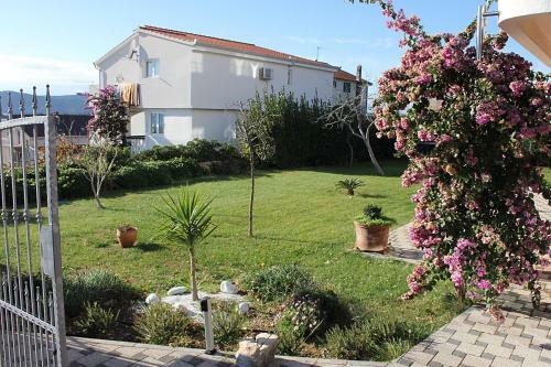 Apartments Sandra