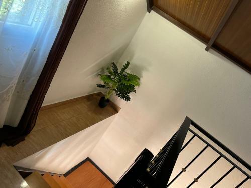 Apartamento Slice Of Ponta Do Sol - Suite 2