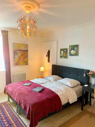 Four Individual Beautiful Spacious Rooms In Stylish Apartment