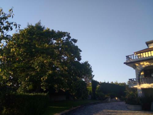 Agroturismo Pinheirinhos - Quinta de S�o Caetano