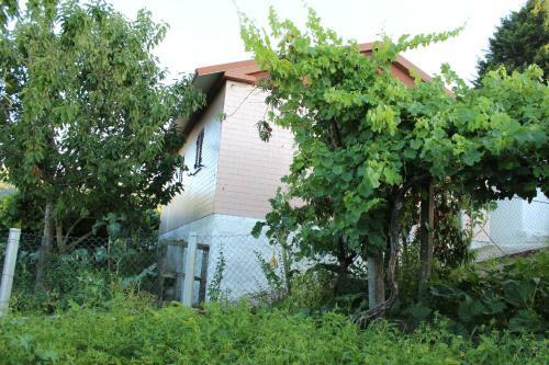 Alojamento Da Ribeirinha
