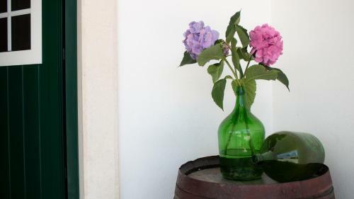 Agroturismo D'vine - Country House