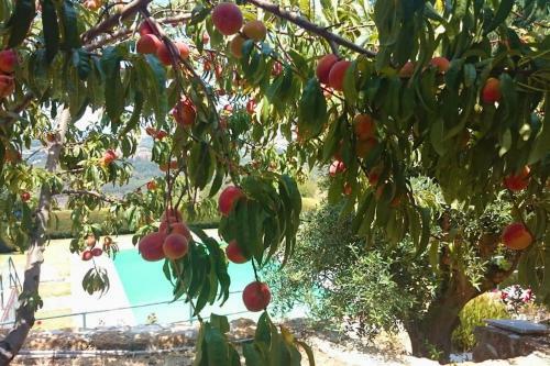 Villa At S�o Juli�o Beach, Ericeira