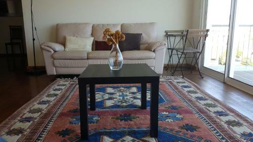 Zen Cani�o Apartment