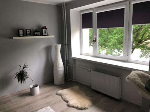 Pikk 4 Apartment