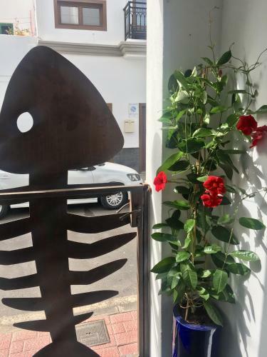 Apartamento Casa Pescado A La Sombra de Un Drago