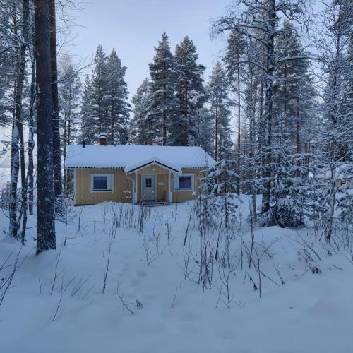 Lake Cottage J�nisvaara