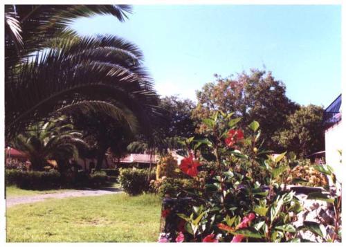 Apartamento Domaine De L'avidanella