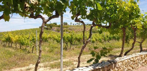Quinta Do Navarro Cottage Villa Carvoeiro