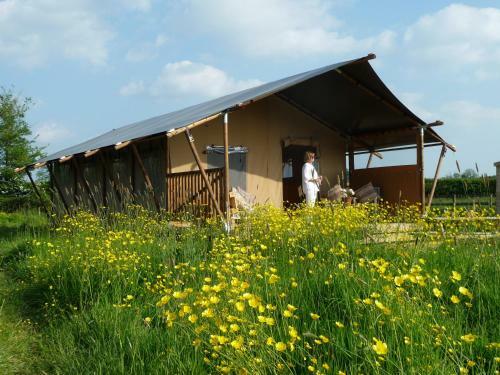 Lodge Tall Trees Glamping
