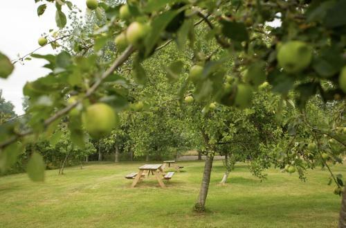 Lodge Tall Trees Glamping