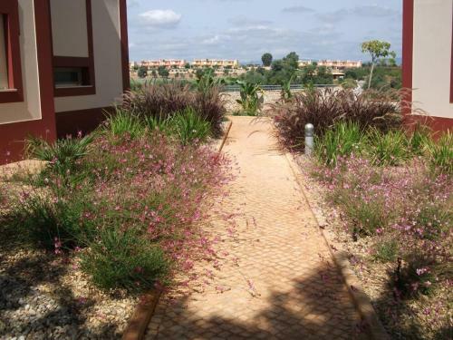 Apartamento Pestana Golf Resort - T1 293g