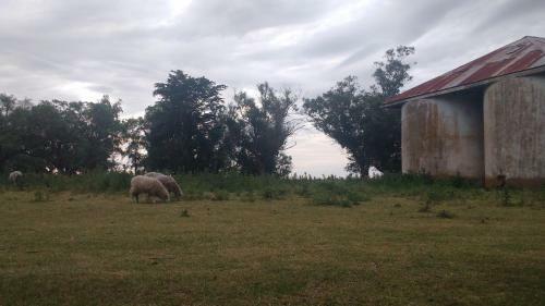 Casa de Campo Con Buena Vista En Claromec�