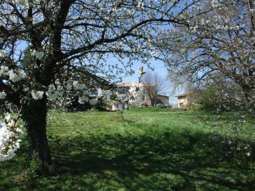 Bed & Breakfast Le Mouillage Vert