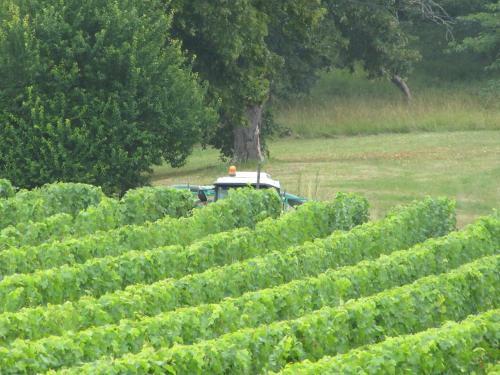 Bed & Breakfast Ch�teau Richelieu