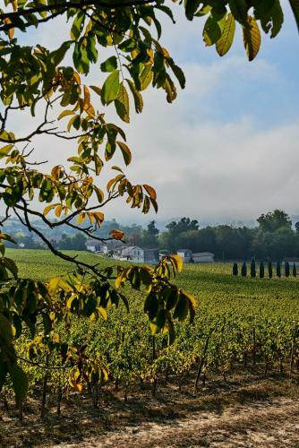 Bed & Breakfast Ch�teau Richelieu