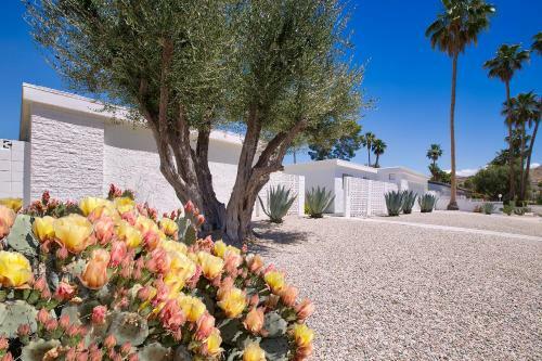 Casa Agave Palm Springs