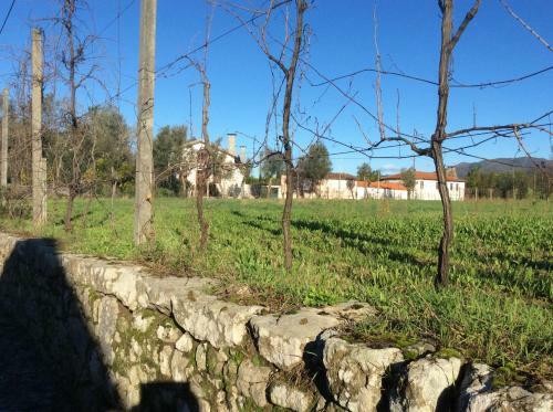 Bed & Breakfast Quinta De Areias