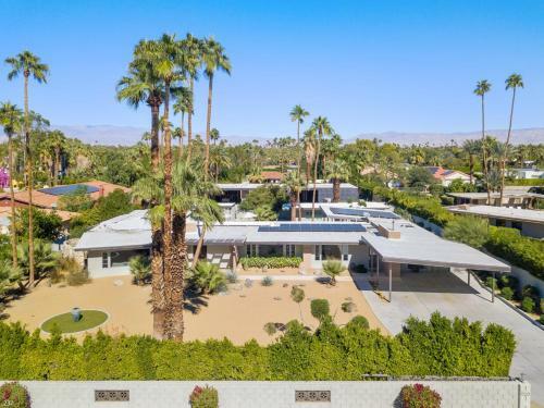 Modern Palms