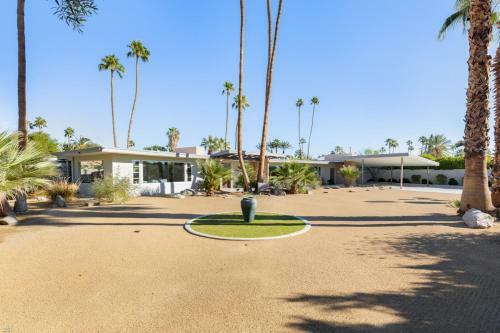 Modern Palms