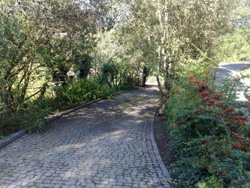 Agroturismo Casa No Douro - Quinta de Pias