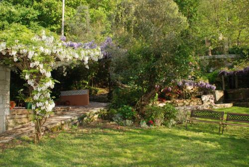 Agroturismo Casa No Douro - Quinta de Pias