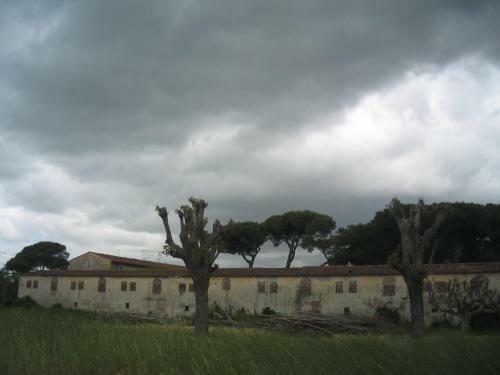 Apartamento Appartamento In Villa Manuela