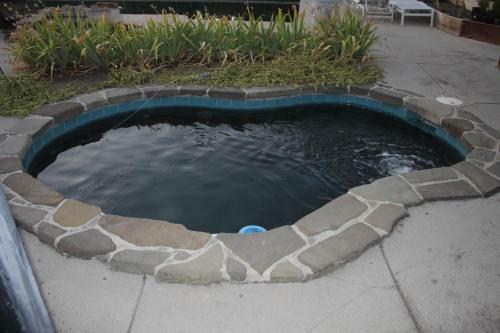Mark's Poolside Retreat