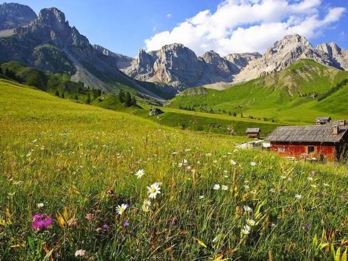 Holiday Home Pezzei Brixen/bressanone