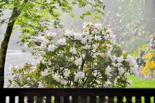 Bed & Breakfast Charmilles Des Cordeliers