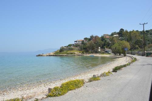 Epipleon Suites