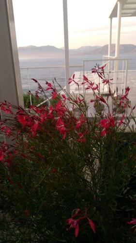 Epipleon Suites